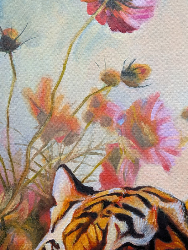 Reclaiming Wild